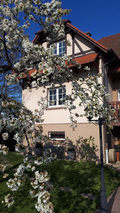 Gite "Le Platane" 45 M2 - Climatise Monswiller Buitenkant foto