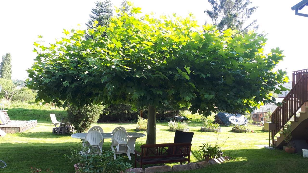 Gite "Le Platane" 45 M2 - Climatise Monswiller Buitenkant foto