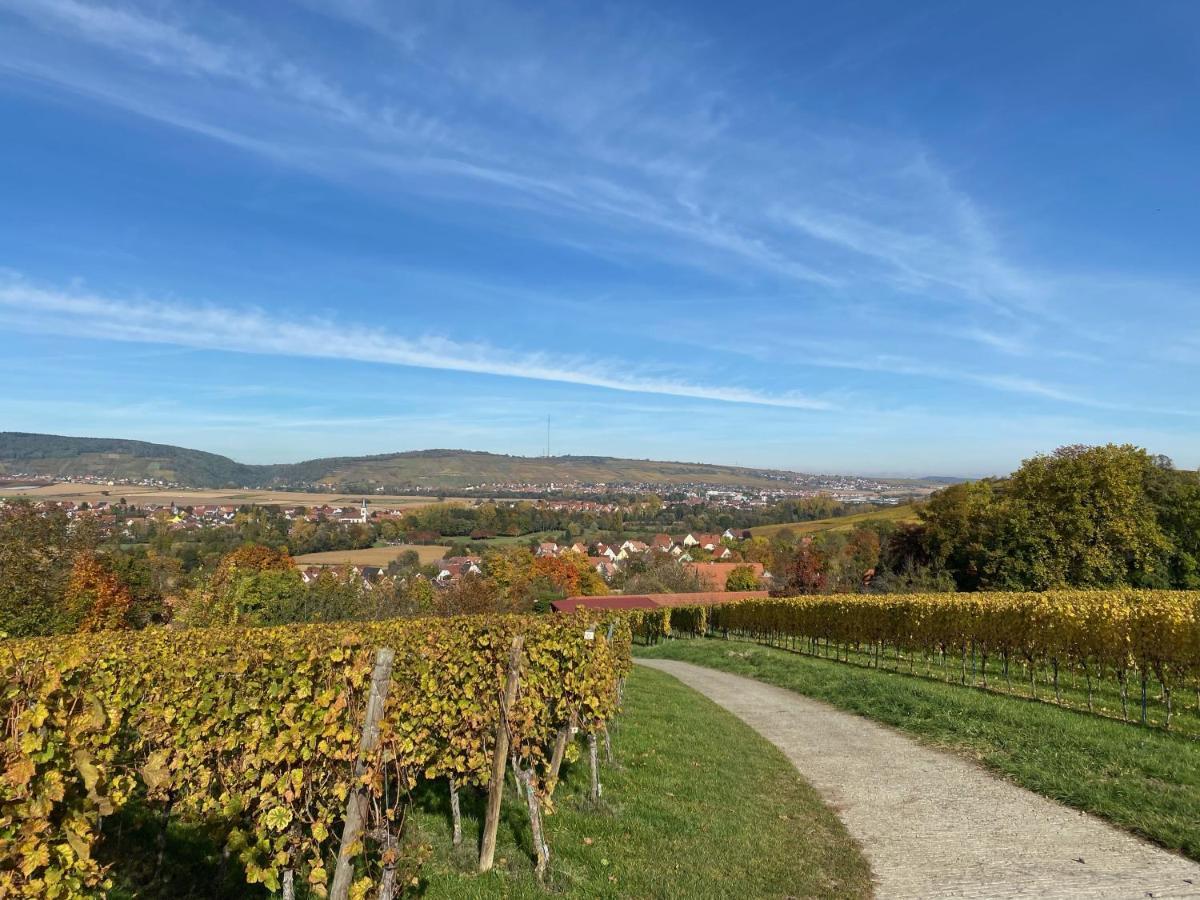 Gite "Le Platane" 45 M2 - Climatise Monswiller Buitenkant foto