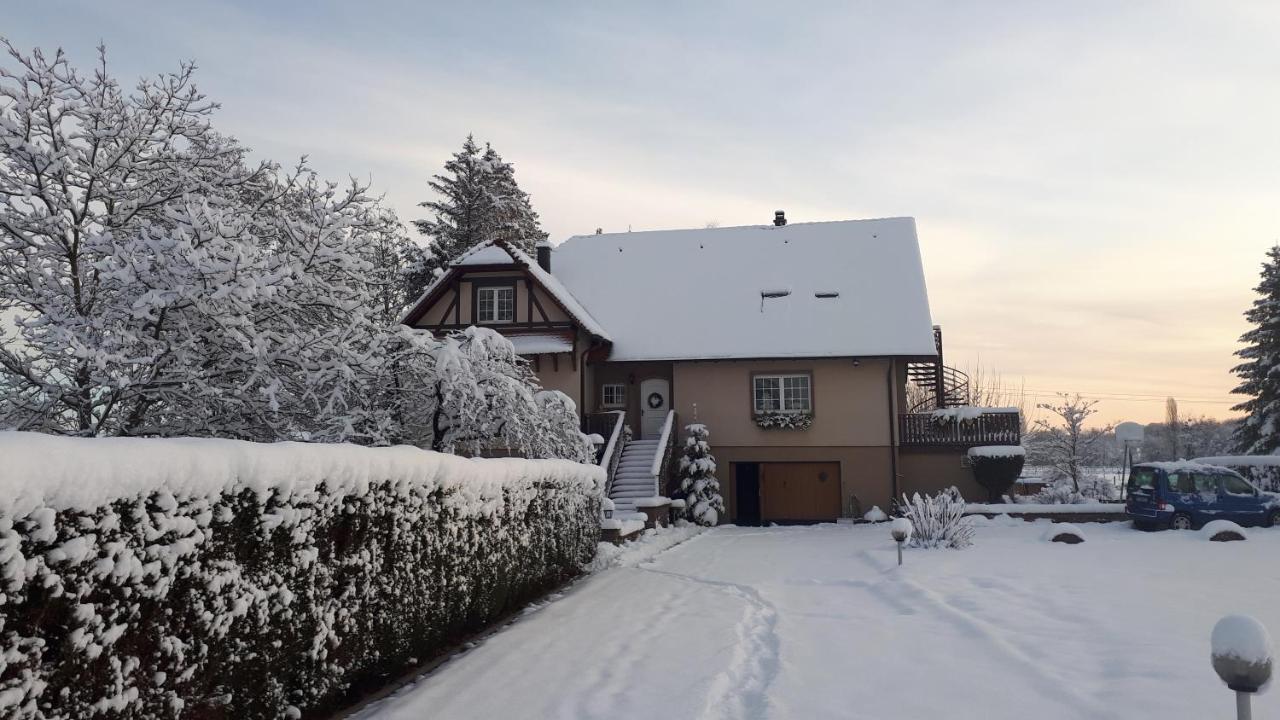 Gite "Le Platane" 45 M2 - Climatise Monswiller Buitenkant foto