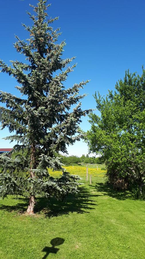 Gite "Le Platane" 45 M2 - Climatise Monswiller Buitenkant foto