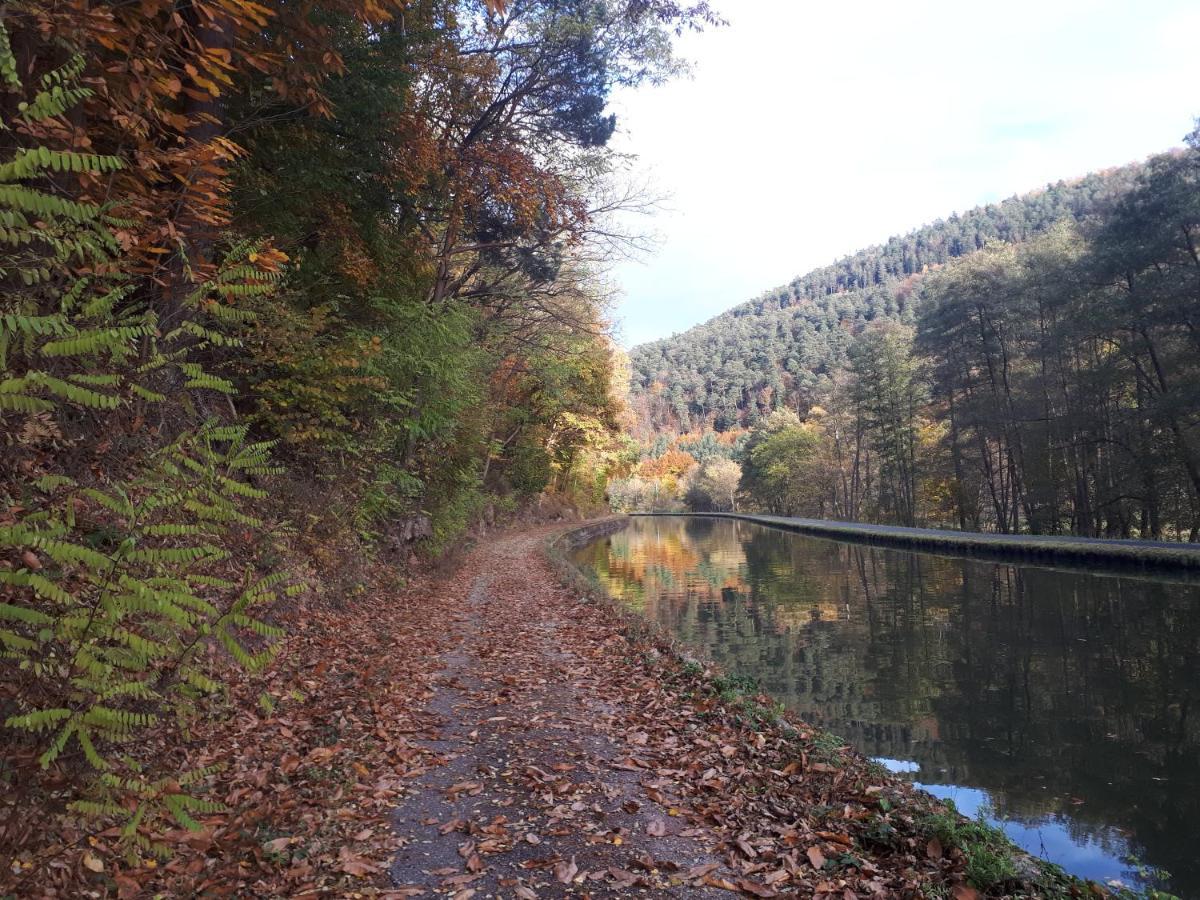 Gite "Le Platane" 45 M2 - Climatise Monswiller Buitenkant foto