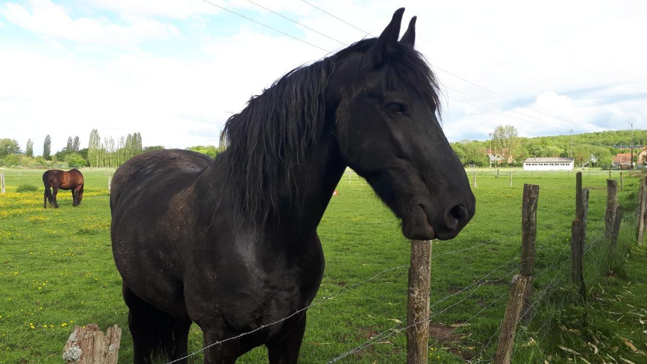Gite "Le Platane" 45 M2 - Climatise Monswiller Buitenkant foto
