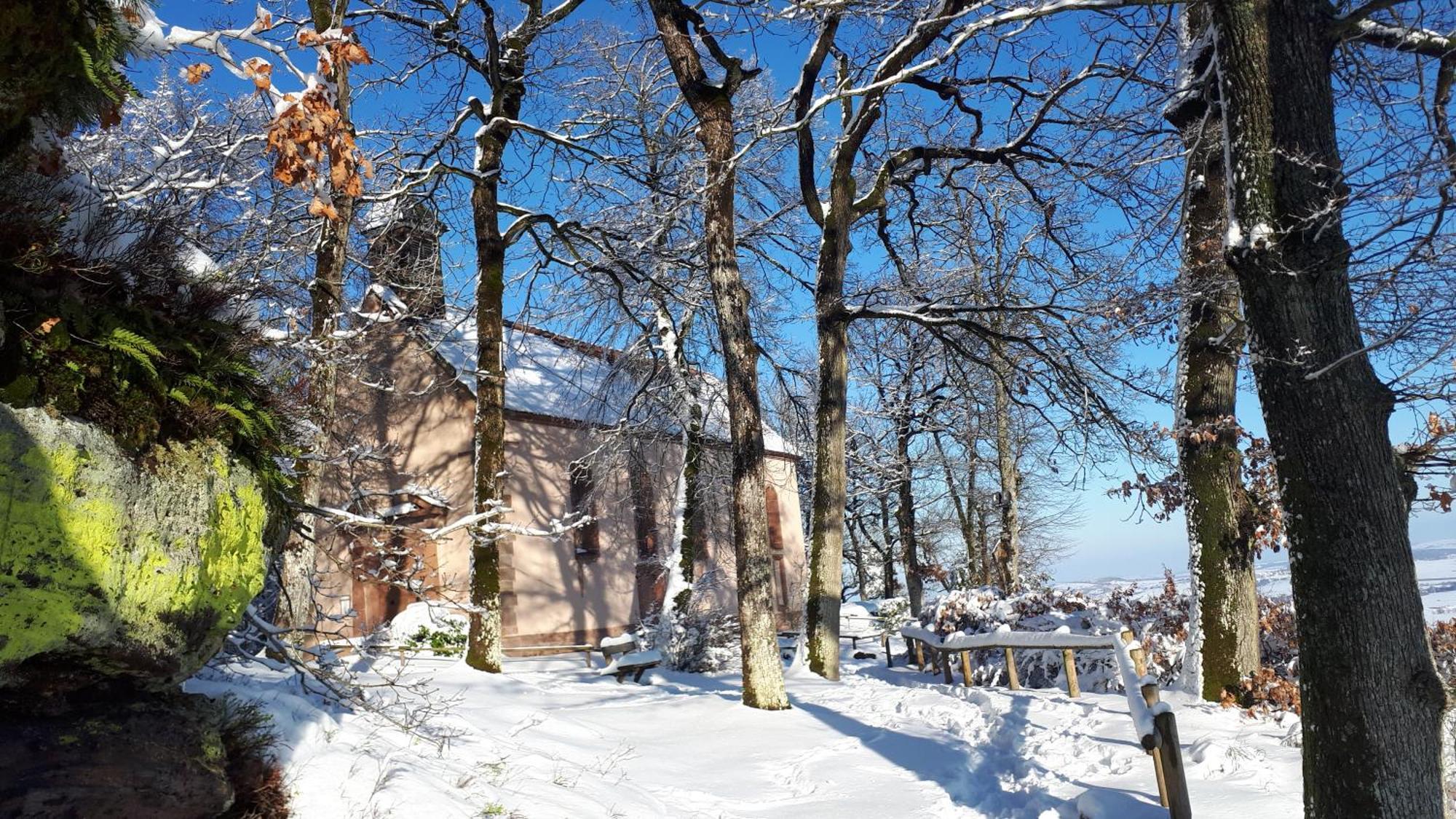 Gite "Le Platane" 45 M2 - Climatise Monswiller Buitenkant foto